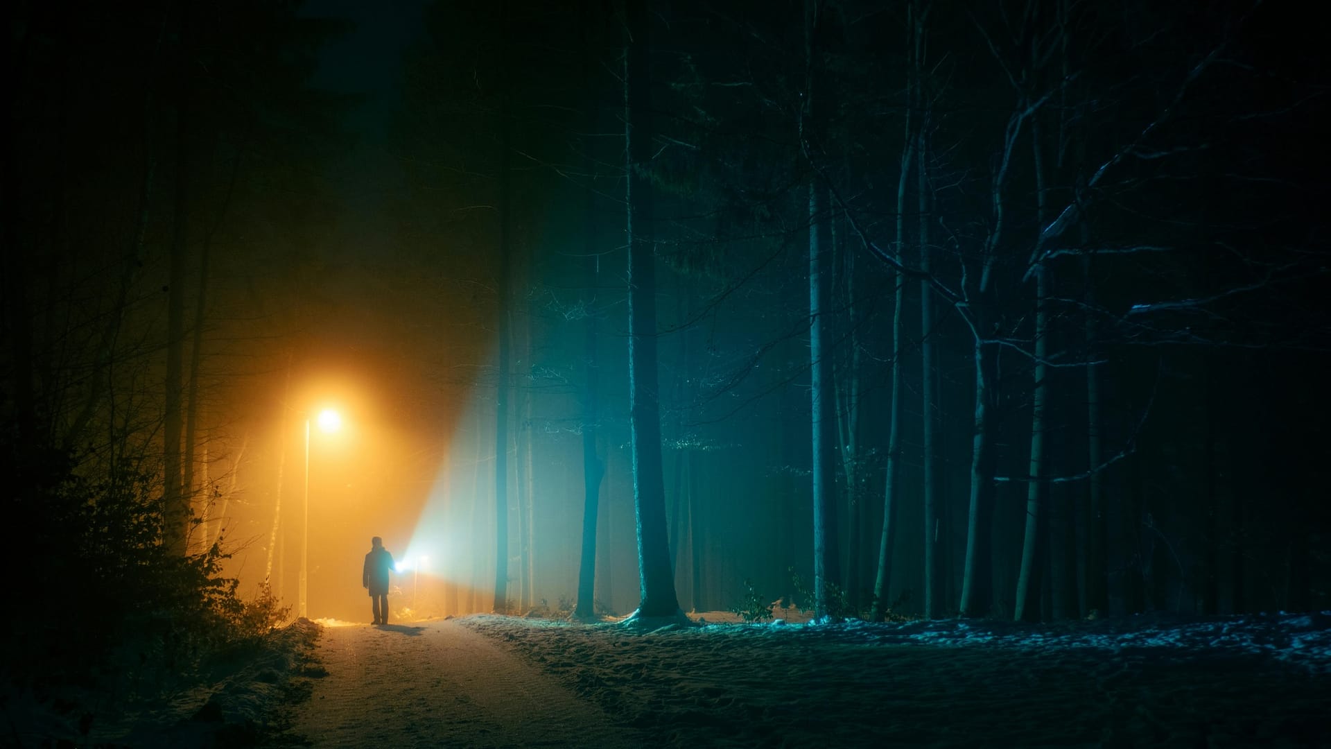 person under light in dark forest